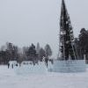 Или пихта кривая, или горизонт завален? Или пихта кривая, или горизонт завален?