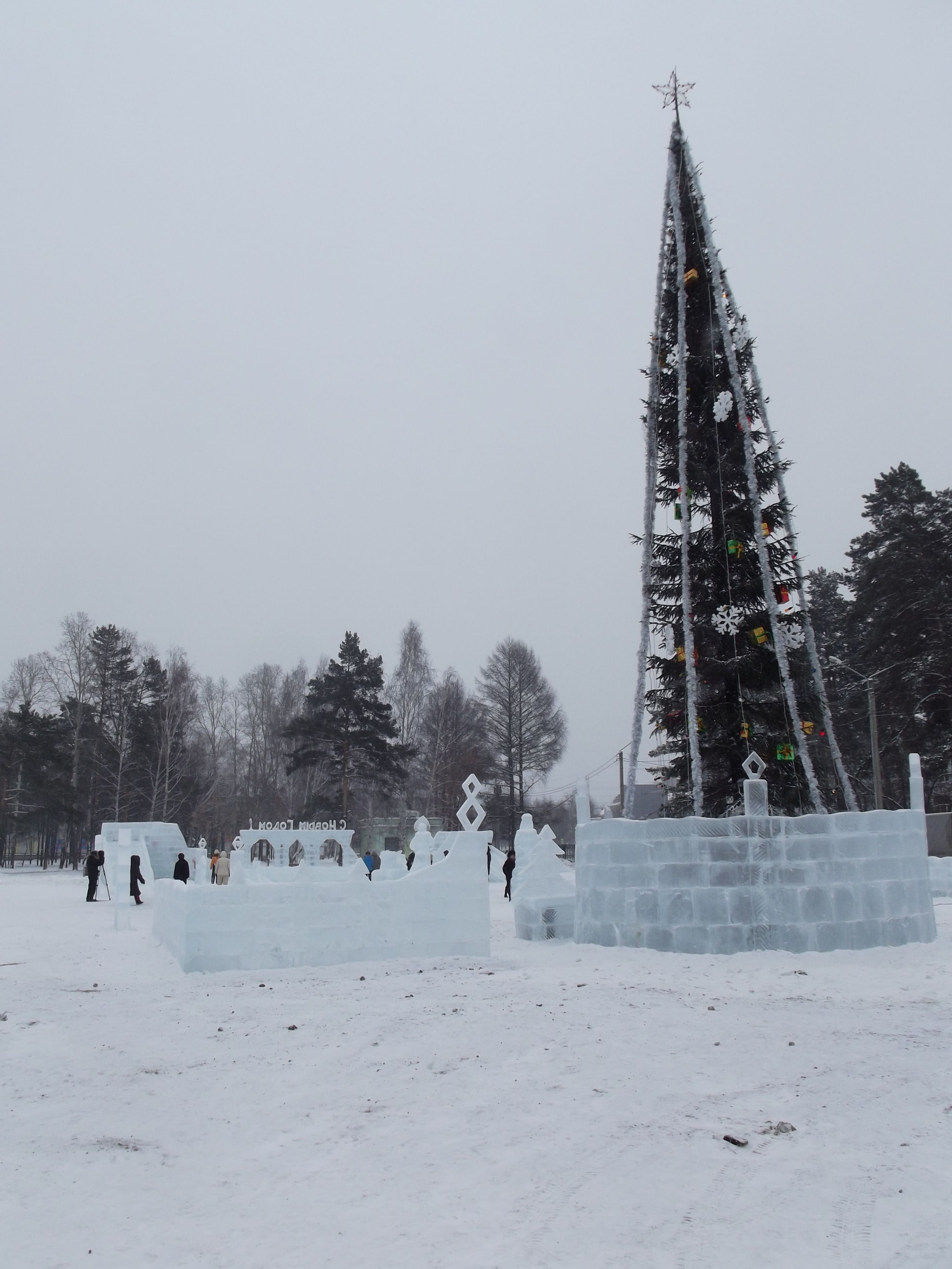 Или пихта кривая, или горизонт завален?