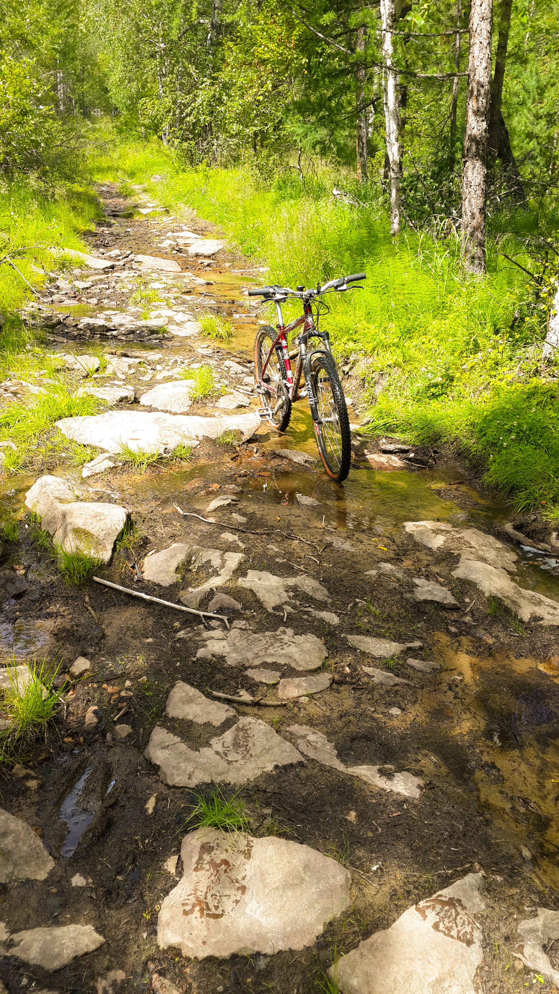 водно-каменная велодорожка 