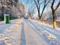 Сирёгина зимняя сложноудлинненная тень Фестивальная))))