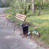 Парк 10-летия Ангарска: урна у скамейки