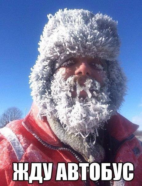 Жду автобус