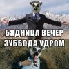 бядница зубота)))))) бядница зубота))))))