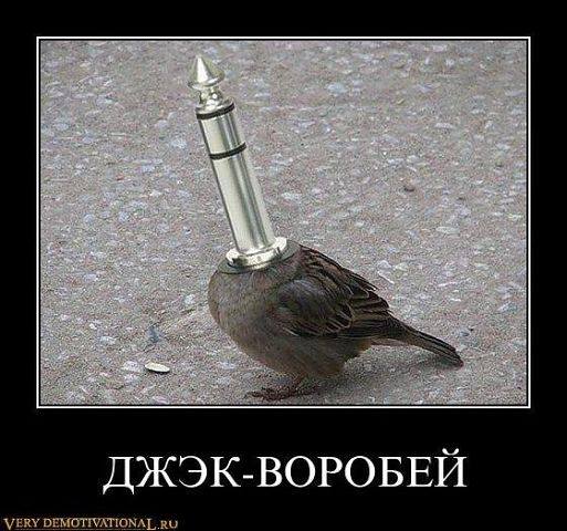 Джэк-воробей