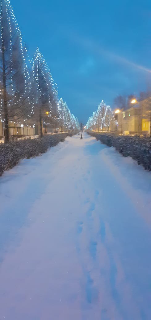 Какое чудесное утро 