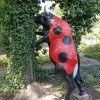 божья коровка божья коровка