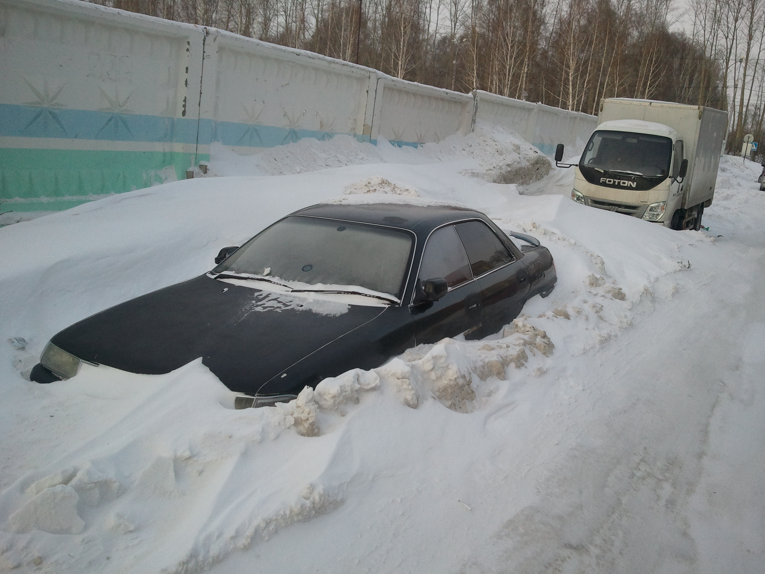Природное противоугонное устройство