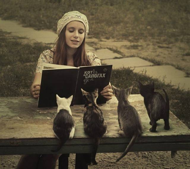 Кот в сапогах