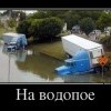 На водопое