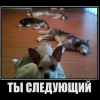 Ты, следующий Ты, следующий