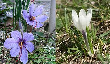 Сезон 4 - задание 10