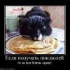 933434 esli-poluchat-pindyulej 933434 esli-poluchat-pindyulej