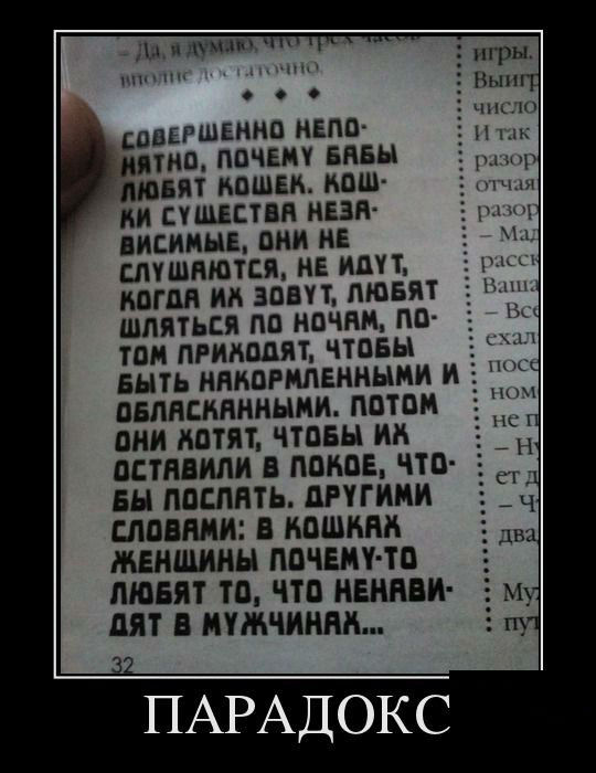 Парадокс