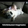 Подушка
