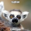 гудбай узбагоин)))))) гудбай узбагоин))))))