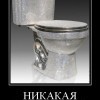 Внешность