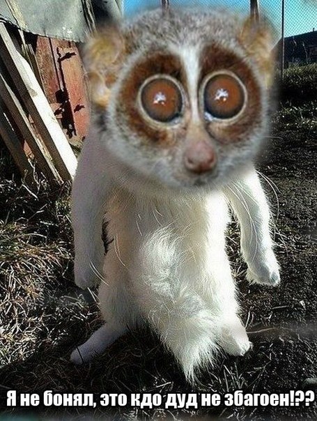 йа не бонял!!!