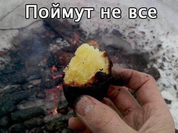 Поймут все