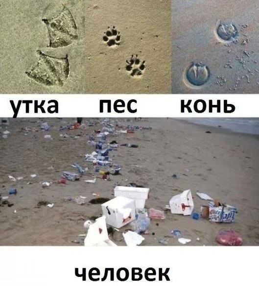 Следы жизни