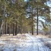 Деревянная прогулка))))))