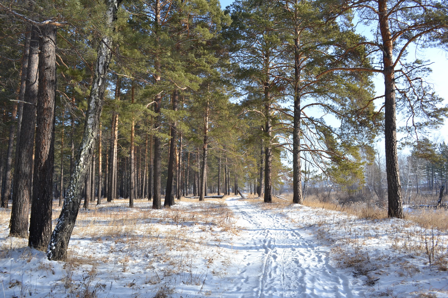 Деревянная прогулка))))))