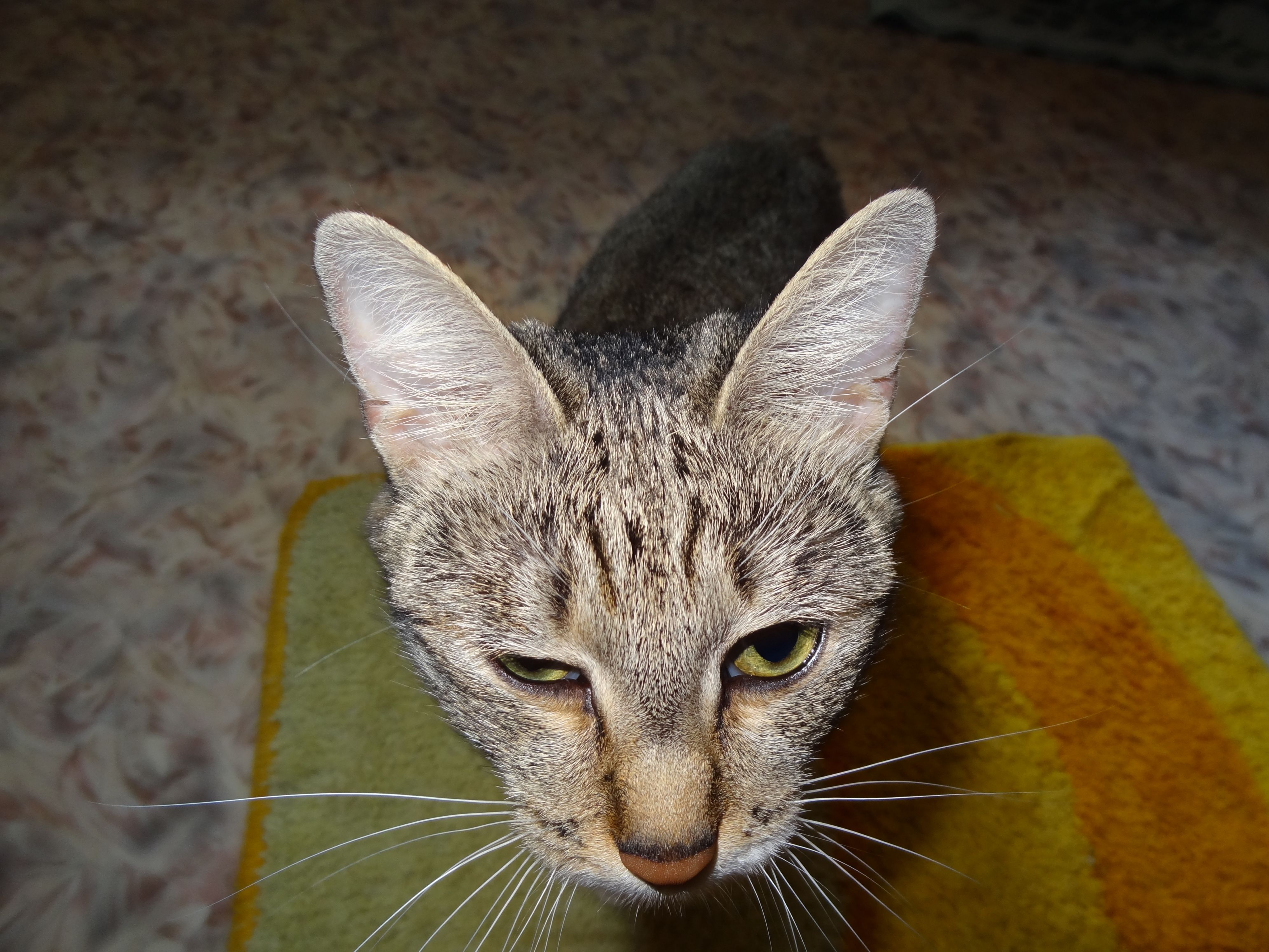 даже не знаю как подписать...столько мыслей )))