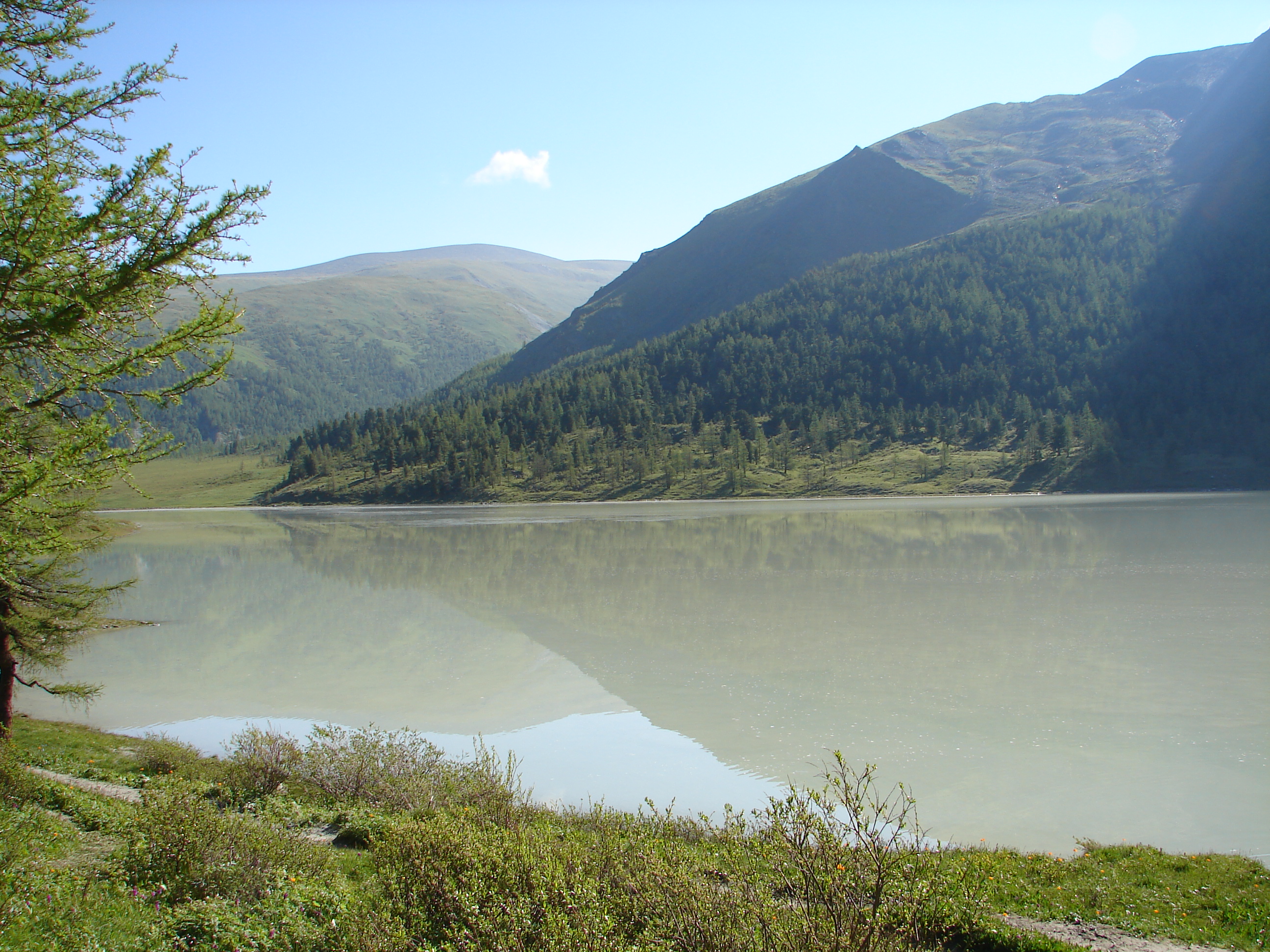 DSC02534##