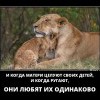 Матери
