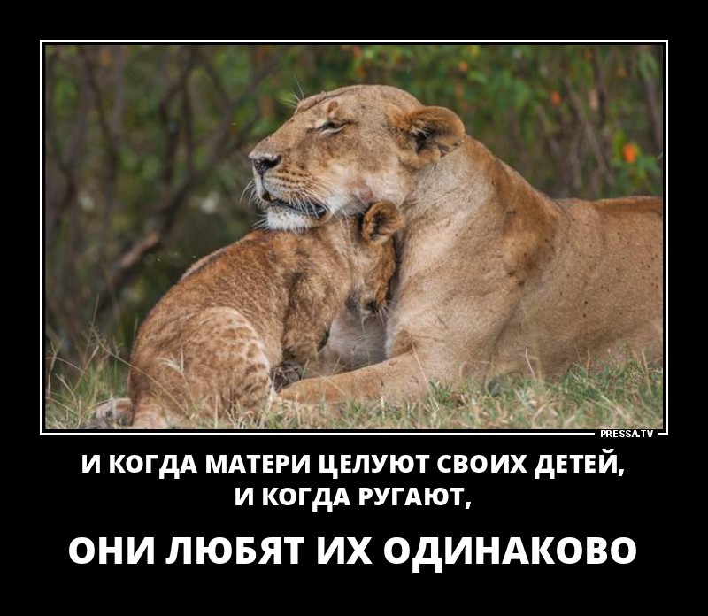 Матери