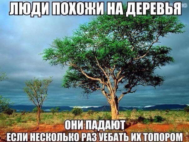 Без названия