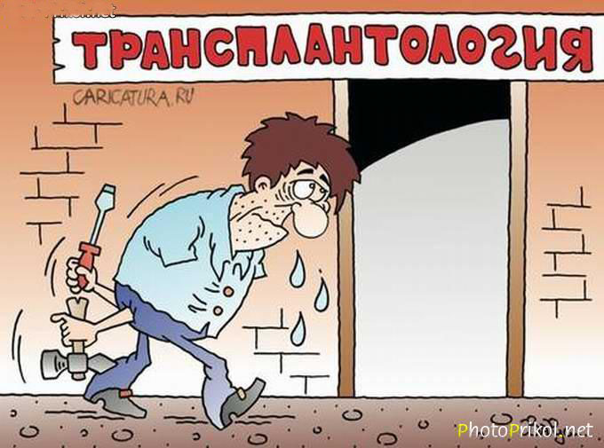Руки из .опы