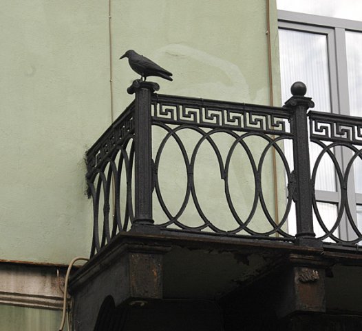 Ворона на балконе