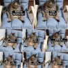 Котэ Котэ