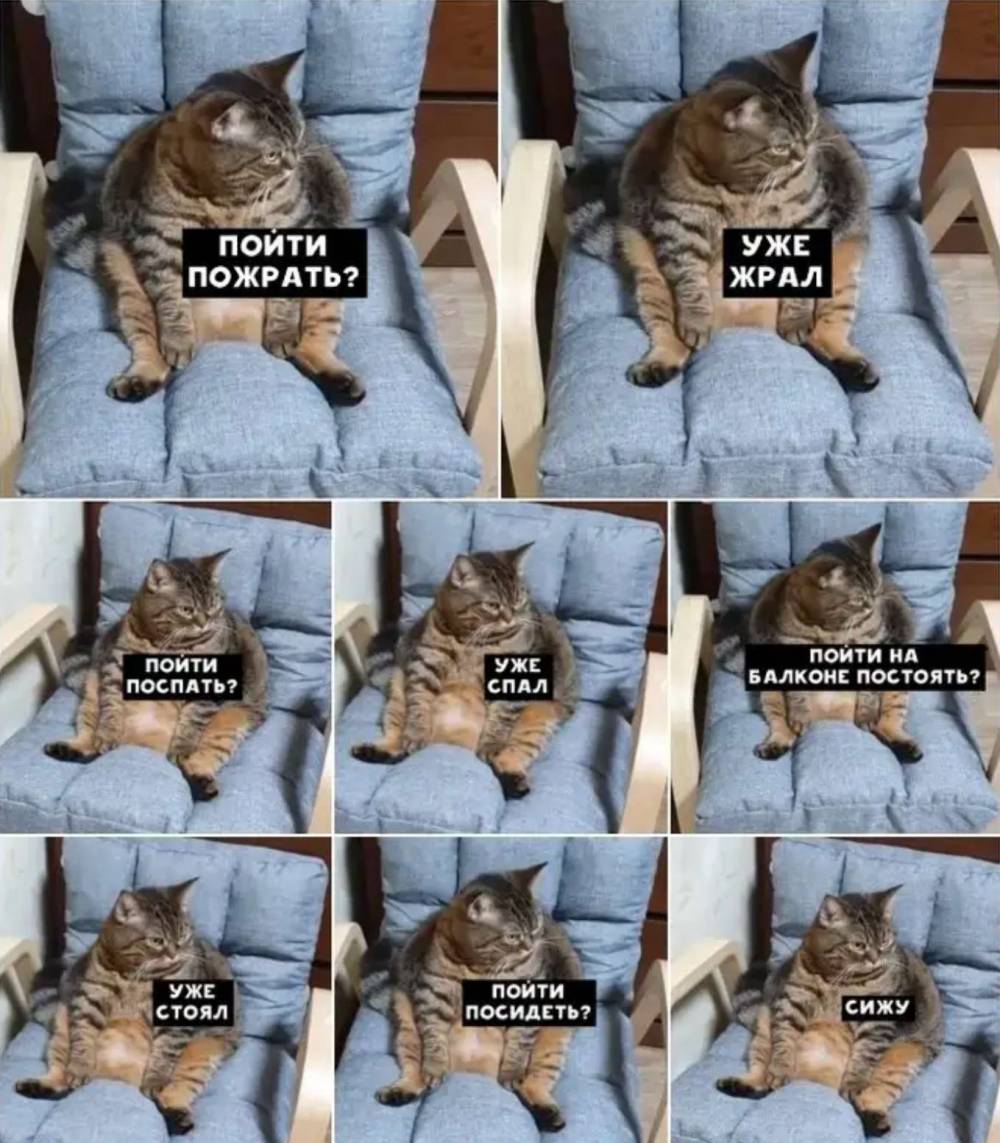 Котэ