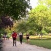 В выходные сотни французов идут бегать в парк В выходные сотни французов идут бегать в парк