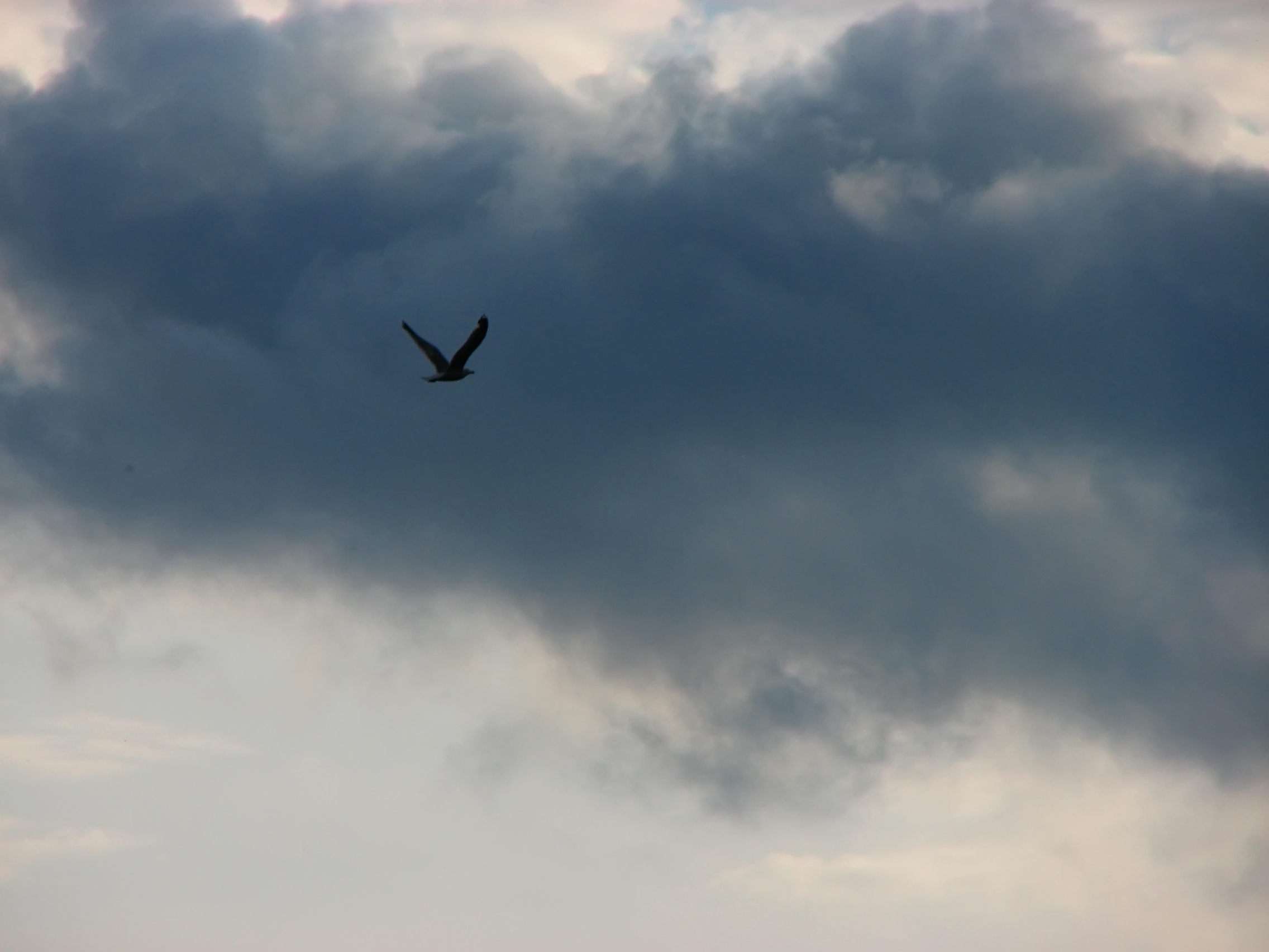 Порт Байкал 2012 (76)