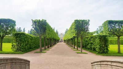 Моё, Санкт-Петербург, город, хорошо, Пушкин