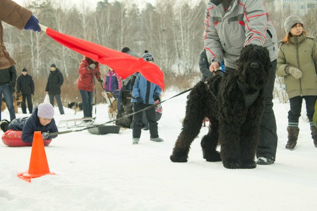 гонки