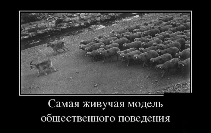 Модель общественного поведения