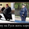 Кому на Руси...