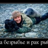 На безрыбье...