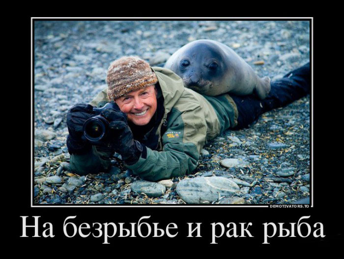 На безрыбье...