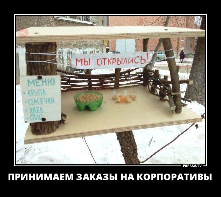 Открытие кормушки