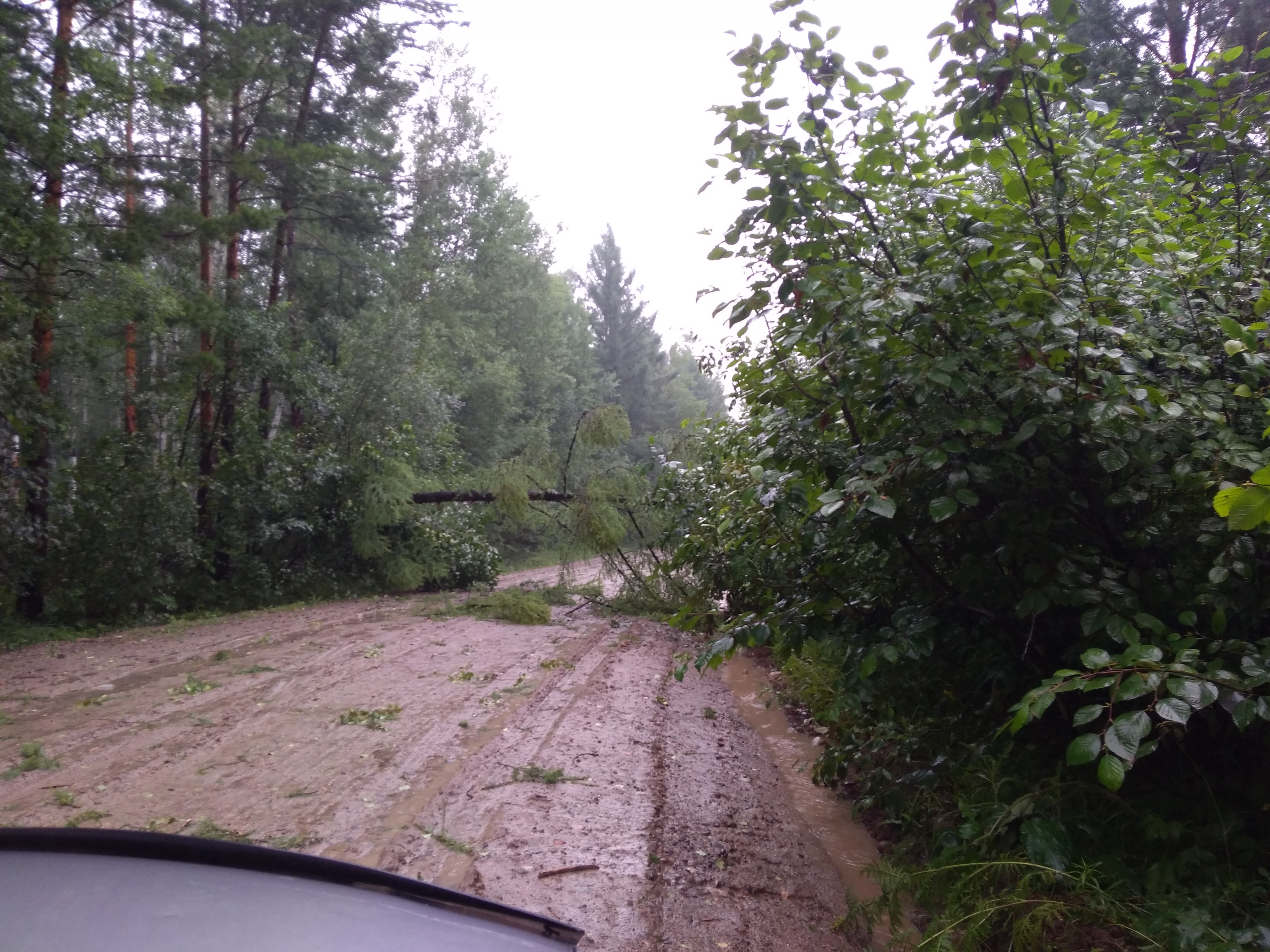 Ветер. Дорога перекрыта.