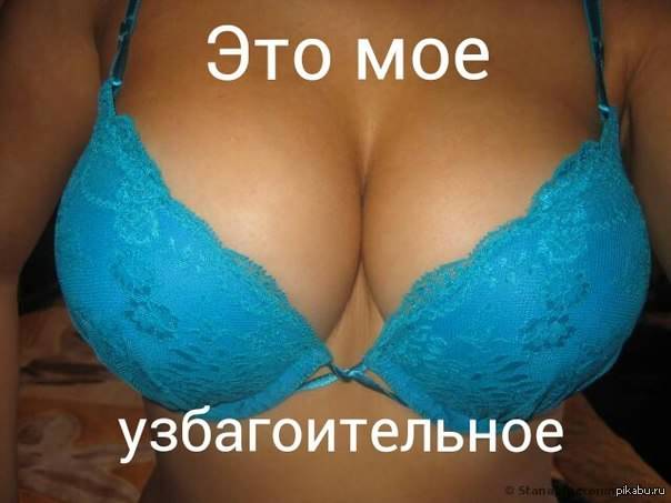 эдо майо узбагоительное))))))