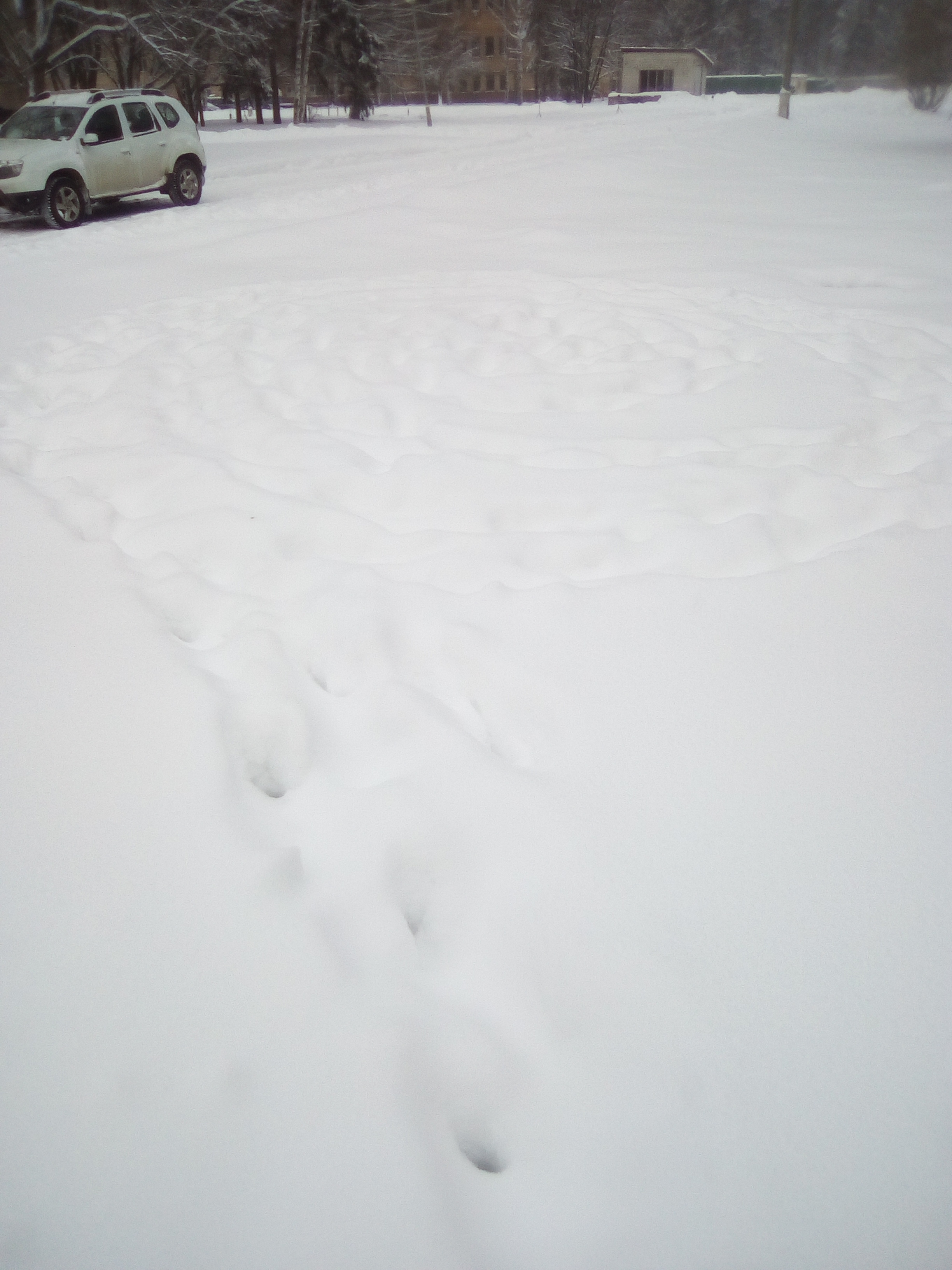 Черноголовские инопланетяне среди нас!!!