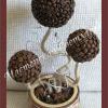 Кофейное деревце счастья Кофейное деревце счастья