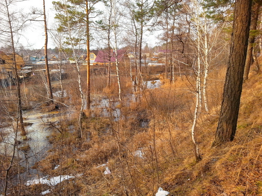 там ... у Расцвета)))))