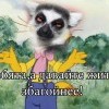 а давайде жыдь збагойнее))) а давайде жыдь збагойнее)))