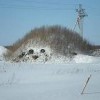 Снеговичок))